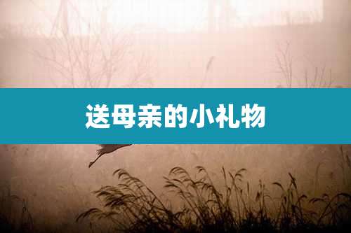 送母亲的小礼物