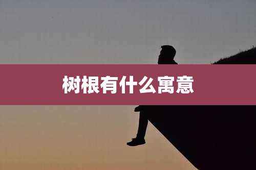 树根有什么寓意