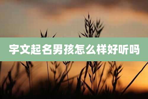 宇文起名男孩怎么样好听吗