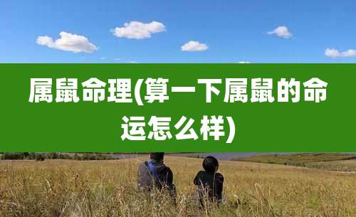 属鼠命理(算一下属鼠的命运怎么样)