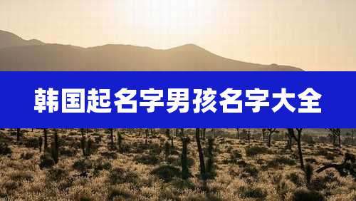 韩国起名字男孩名字大全