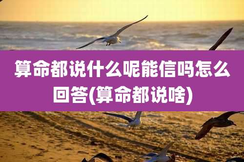 算命都说什么呢能信吗怎么回答(算命都说啥)