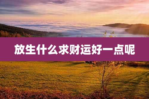 放生什么求财运好一点呢