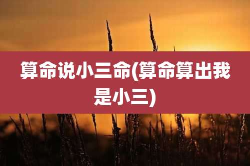 算命说小三命(算命算出我是小三)