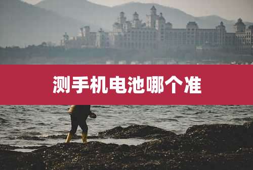 测手机电池哪个准