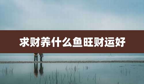求财养什么鱼旺财运好