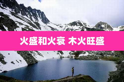 火盛和火衰 木火旺盛