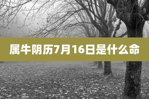 属牛阴历7月16日是什么命