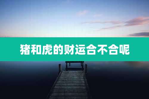 猪和虎的财运合不合呢