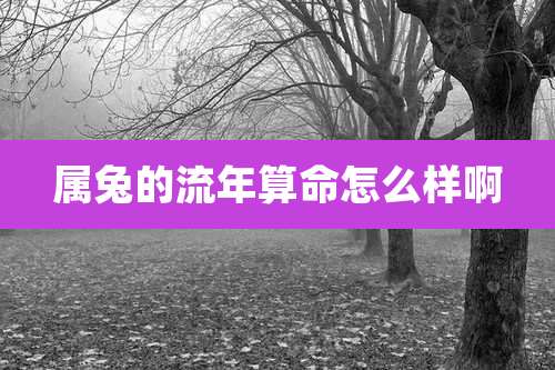 属兔的流年算命怎么样啊