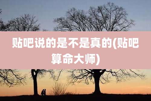 贴吧说的是不是真的(贴吧算命大师)