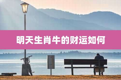明天生肖牛的财运如何