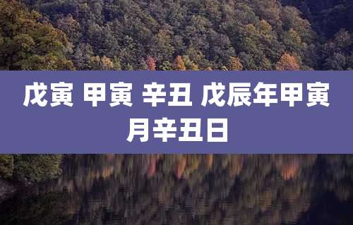 戊寅 甲寅 辛丑 戊辰年甲寅月辛丑日