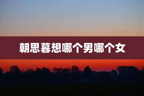 朝思暮想哪个男哪个女