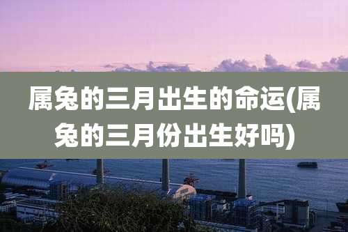 属兔的三月出生的命运(属兔的三月份出生好吗)