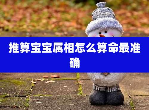 推算宝宝属相怎么算命最准确