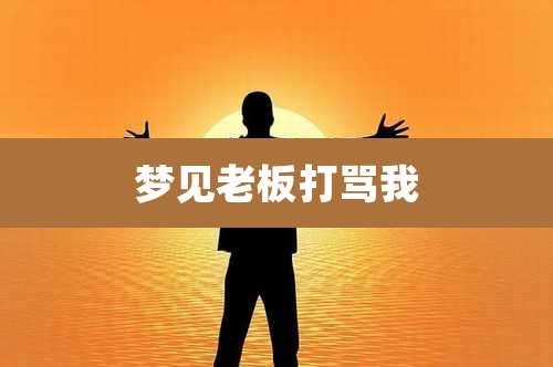 梦见老板打骂我