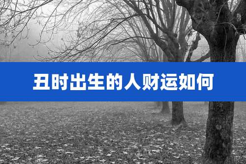 丑时出生的人财运如何