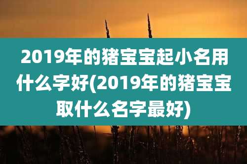 2019年的猪宝宝起小名用什么字好(2019年的猪宝宝取什么名字最好)
