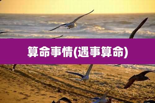算命事情(遇事算命)