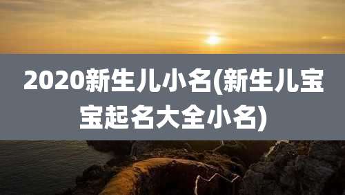 2020新生儿小名(新生儿宝宝起名大全小名)