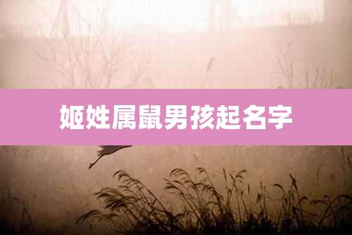 姬姓属鼠男孩起名字