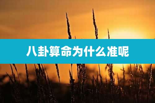 八卦算命为什么准呢