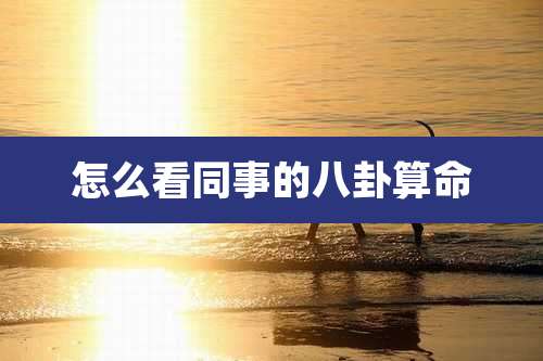 怎么看同事的八卦算命