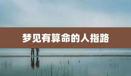 梦见有算命的人指路