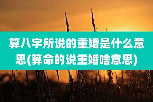 算八字所说的重婚是什么意思(算命的说重婚啥意思)