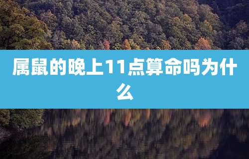 属鼠的晚上11点算命吗为什么