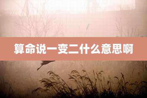 算命说一变二什么意思啊