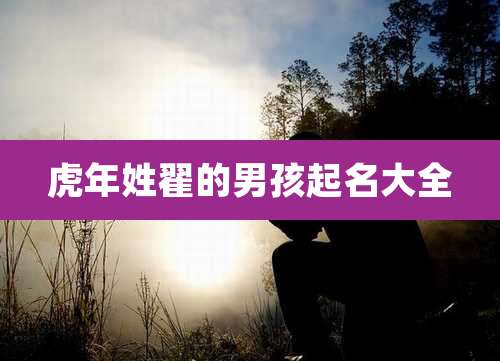 虎年姓翟的男孩起名大全