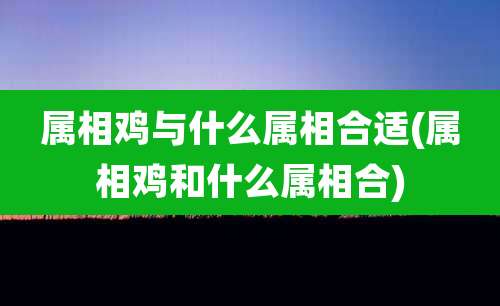 属相鸡与什么属相合适(属相鸡和什么属相合)