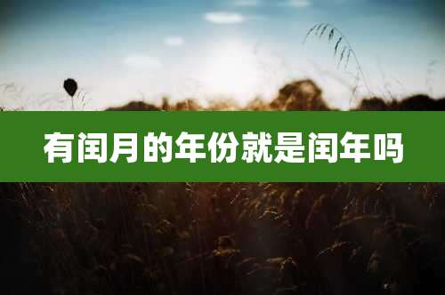 有闰月的年份就是闰年吗