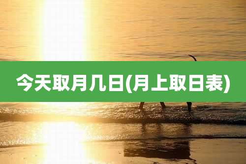 今天取月几日(月上取日表)