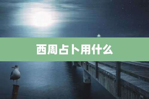 西周占卜用什么