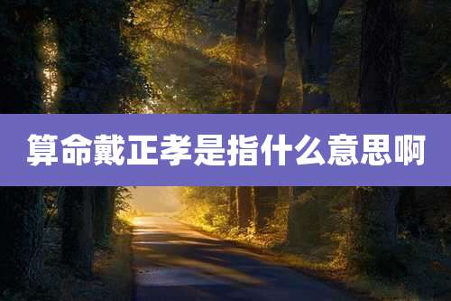 算命戴正孝是指什么意思啊