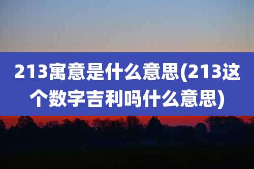 213寓意是什么意思(213这个数字吉利吗什么意思)