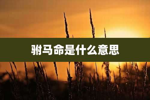 驸马命是什么意思