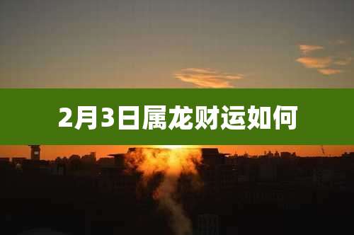 2月3日属龙财运如何