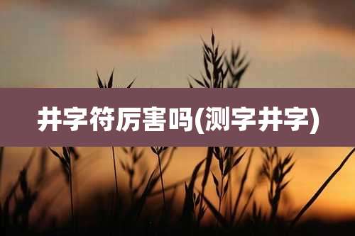 井字符厉害吗(测字井字)