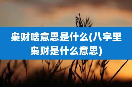 枭财啥意思是什么(八字里枭财是什么意思)