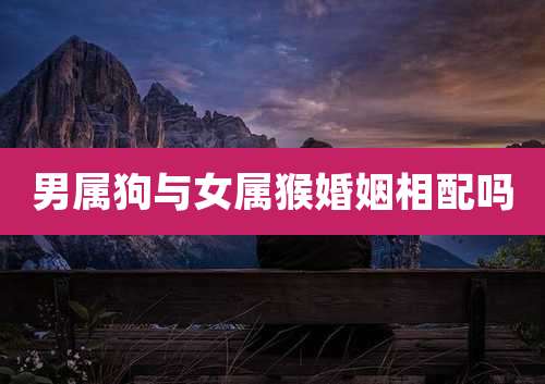 男属狗与女属猴婚姻相配吗