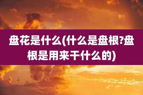 盘花是什么(什么是盘根?盘根是用来干什么的)