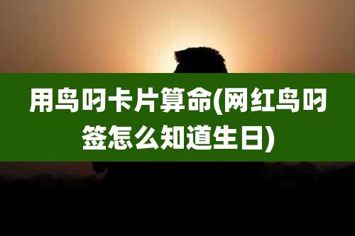 用鸟叼卡片算命(网红鸟叼签怎么知道生日)