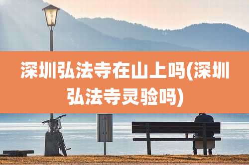 深圳弘法寺在山上吗(深圳弘法寺灵验吗)