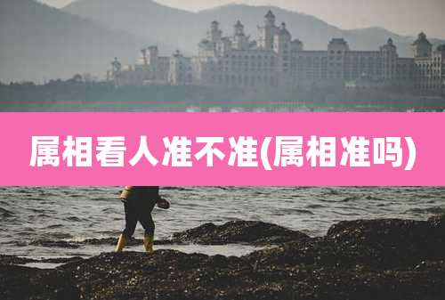 属相看人准不准(属相准吗)