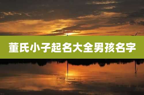董氏小子起名大全男孩名字