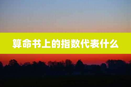 算命书上的指数代表什么